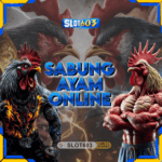 Slot603 Sabung Ayam